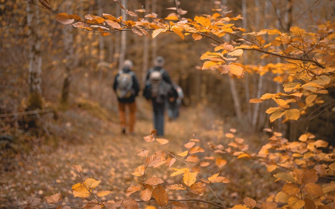 Marche d’automne