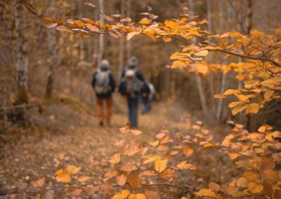 Marche d’automne